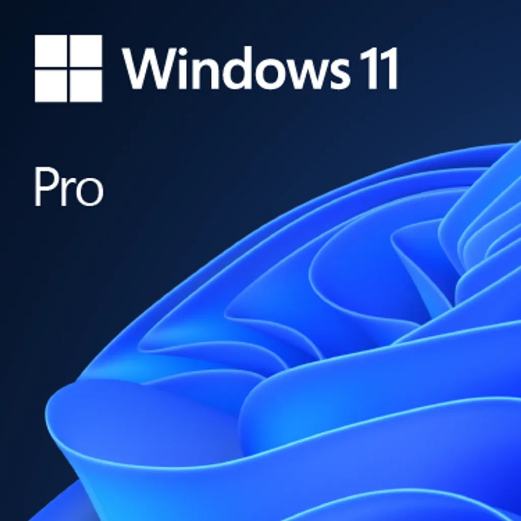 MICROSOFT WIN 11 PRO 64BIT DSP