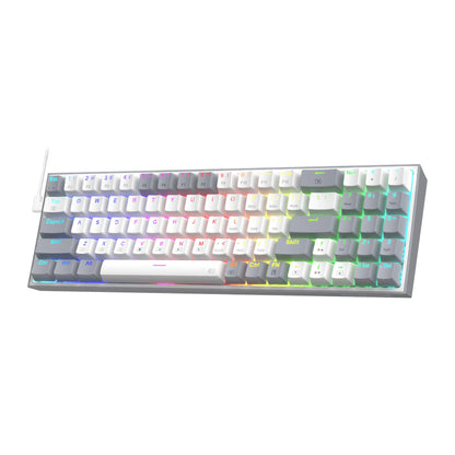 Redragon Pollux Mechanical Wired Gaming Keyboard